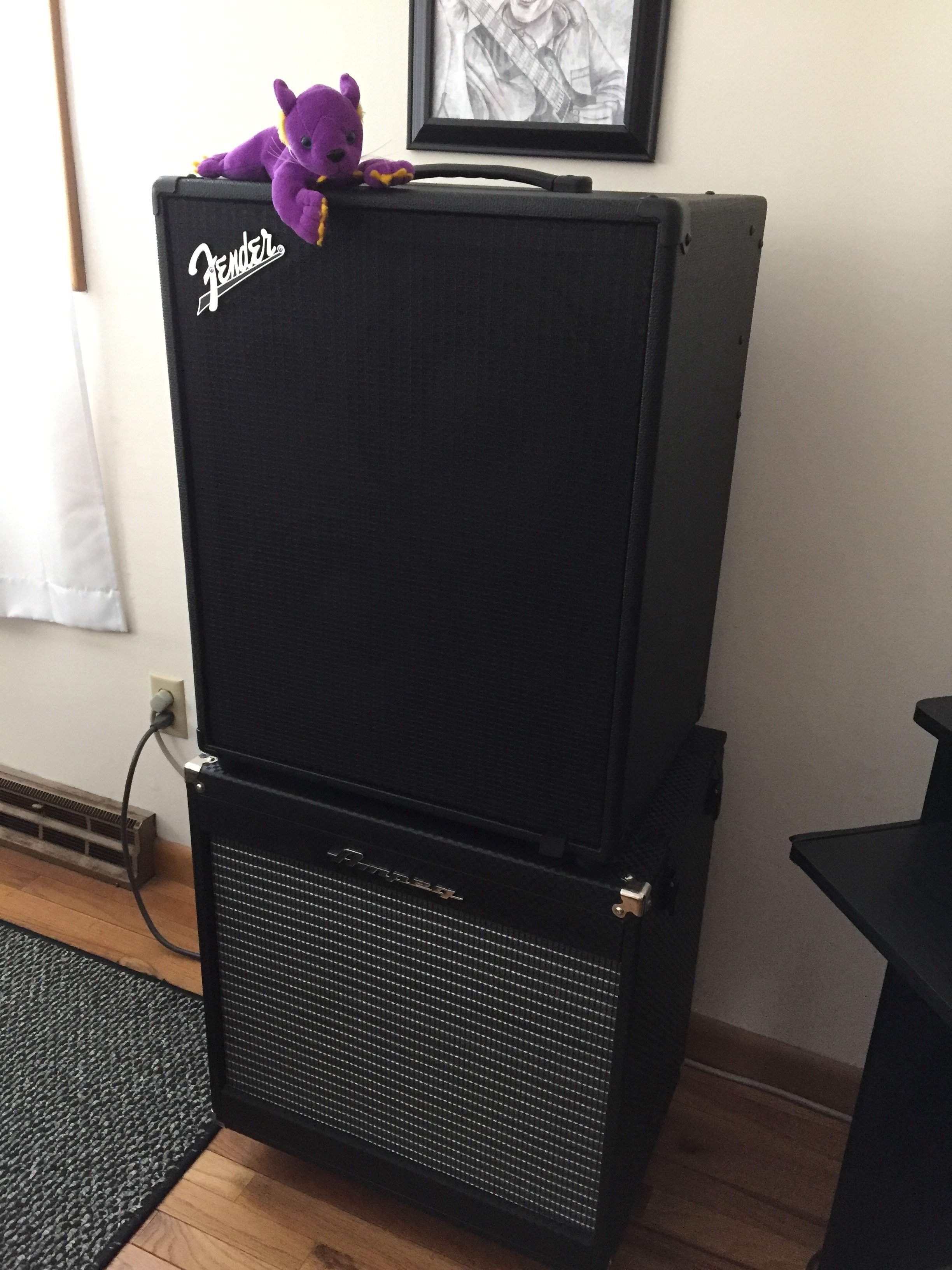Stage 800 Ampeg Cab 02.JPG