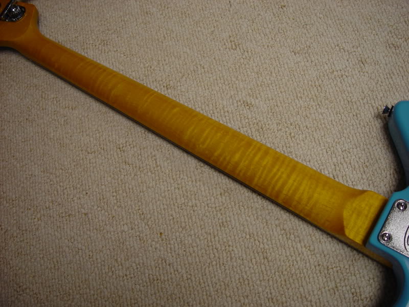 StaggJag008.jpg
