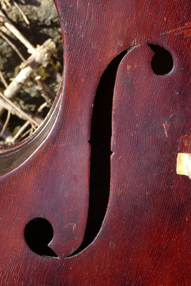 stambass-8.jpg