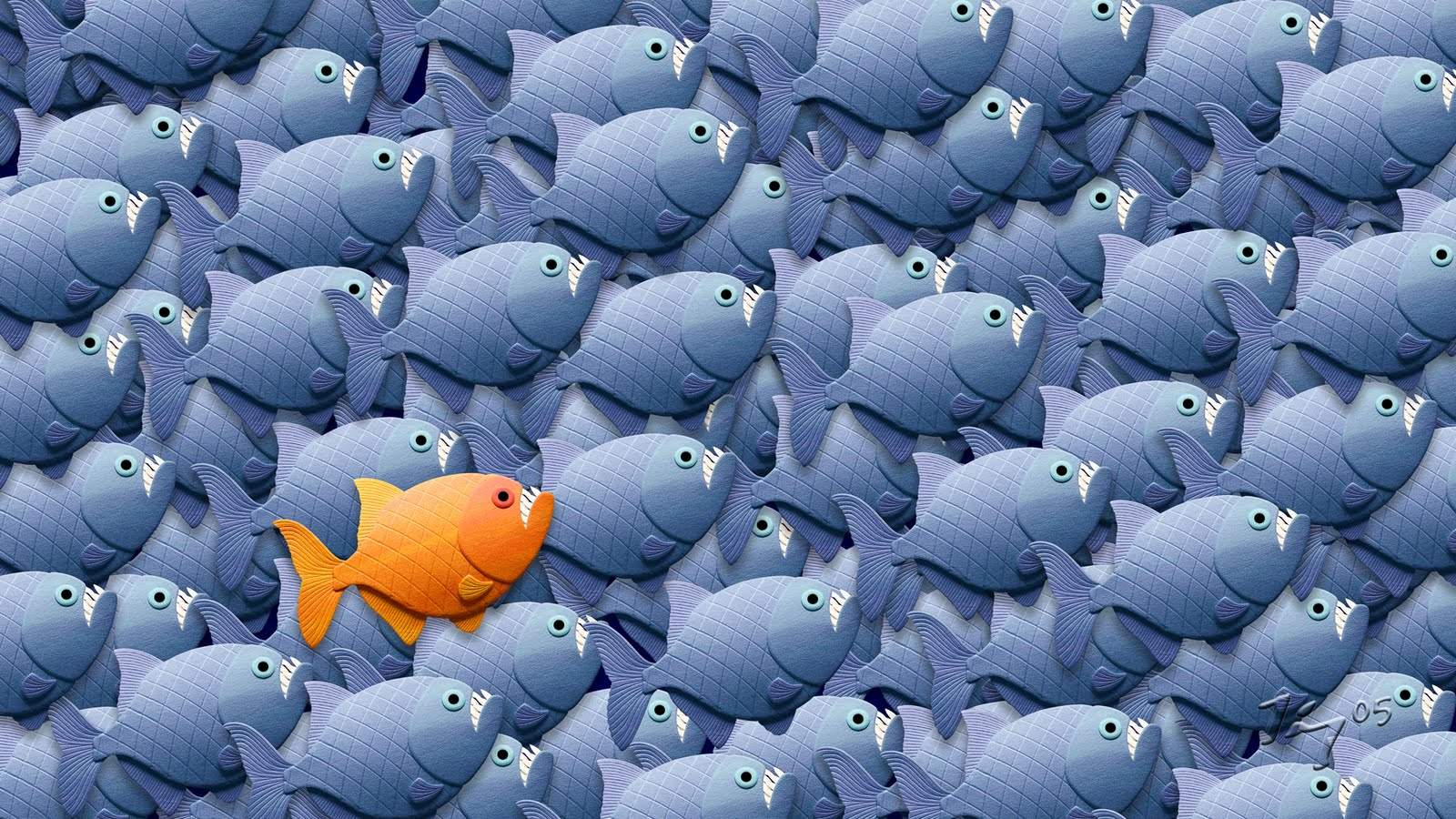 stand-out.jpg