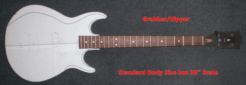 Standard Size 30.JPG