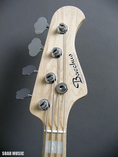 standard4ashna5.jpg