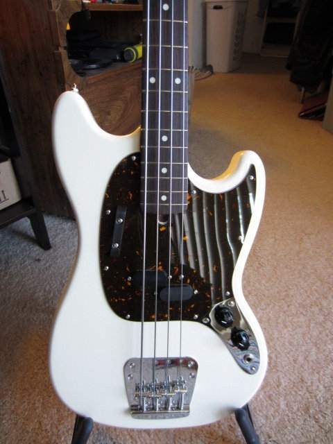 stang2.JPG