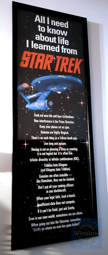 Star Trek Poster-Win.jpg