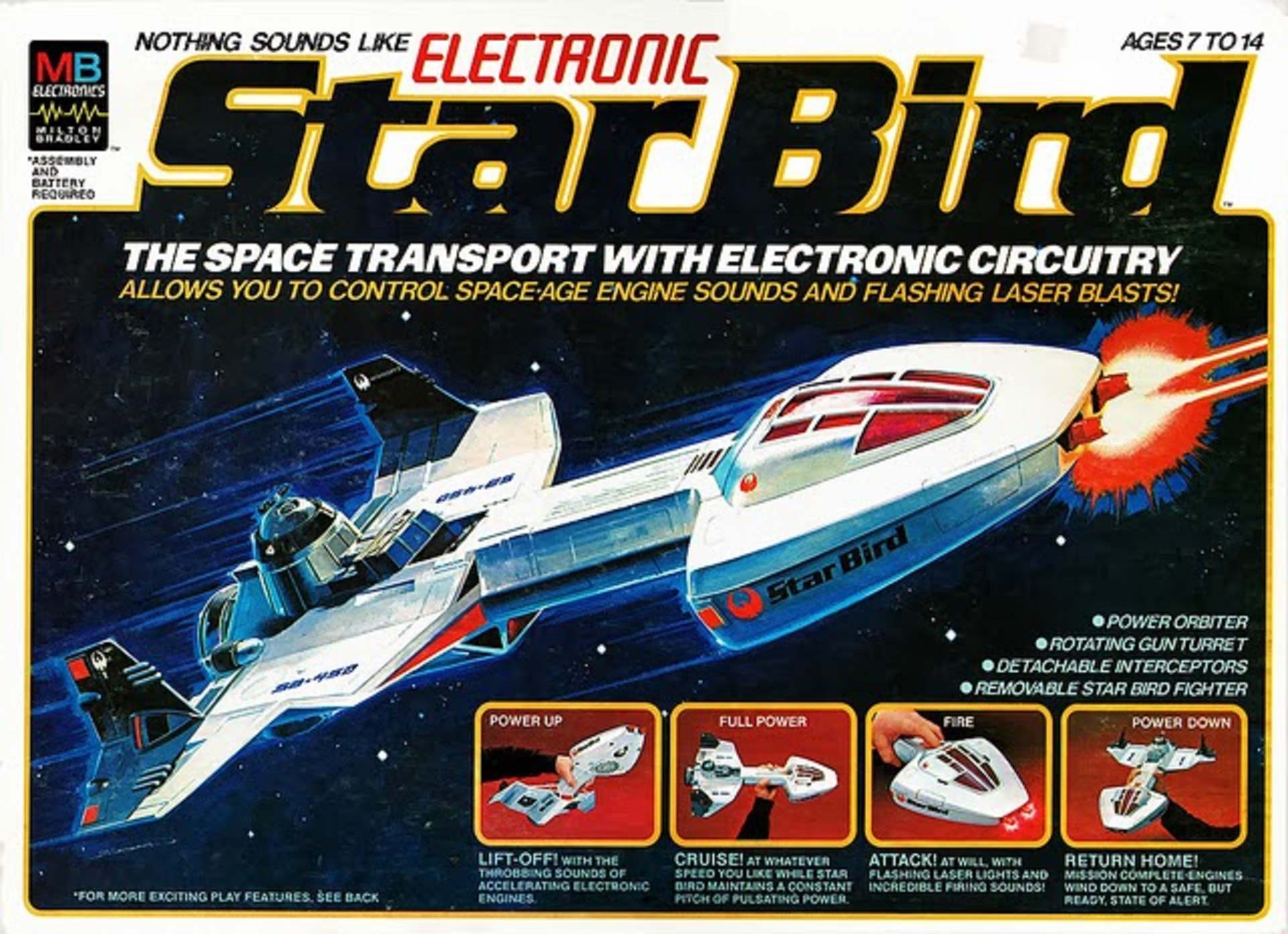 starbird7.jpg