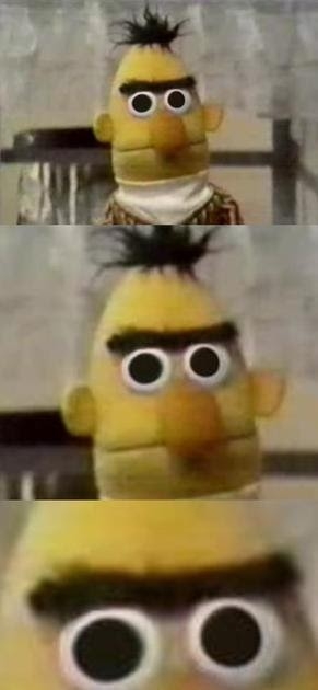 stare.jpg