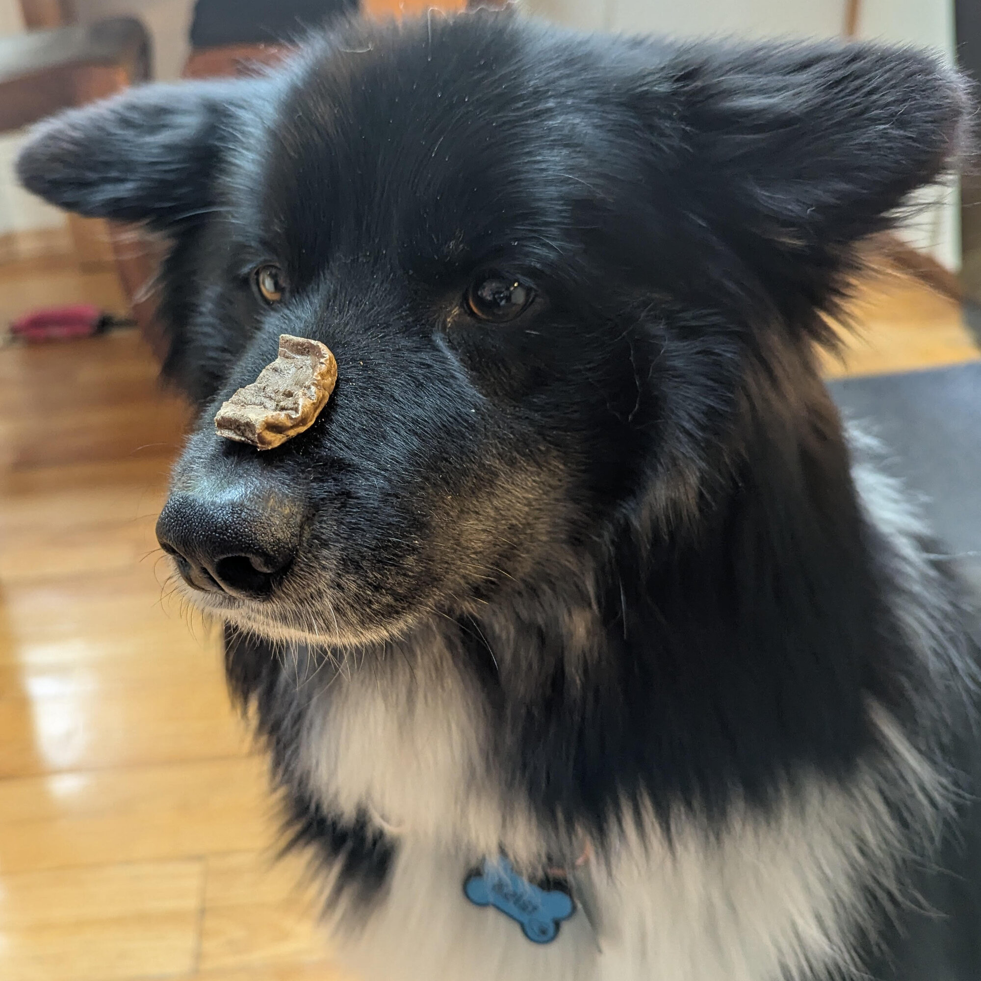 StayGoodBoy.jpg