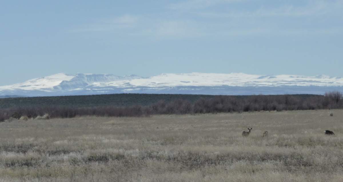Steens_1.JPG