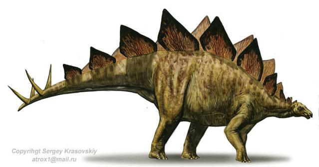 stegosaurus-stenops.jpg
