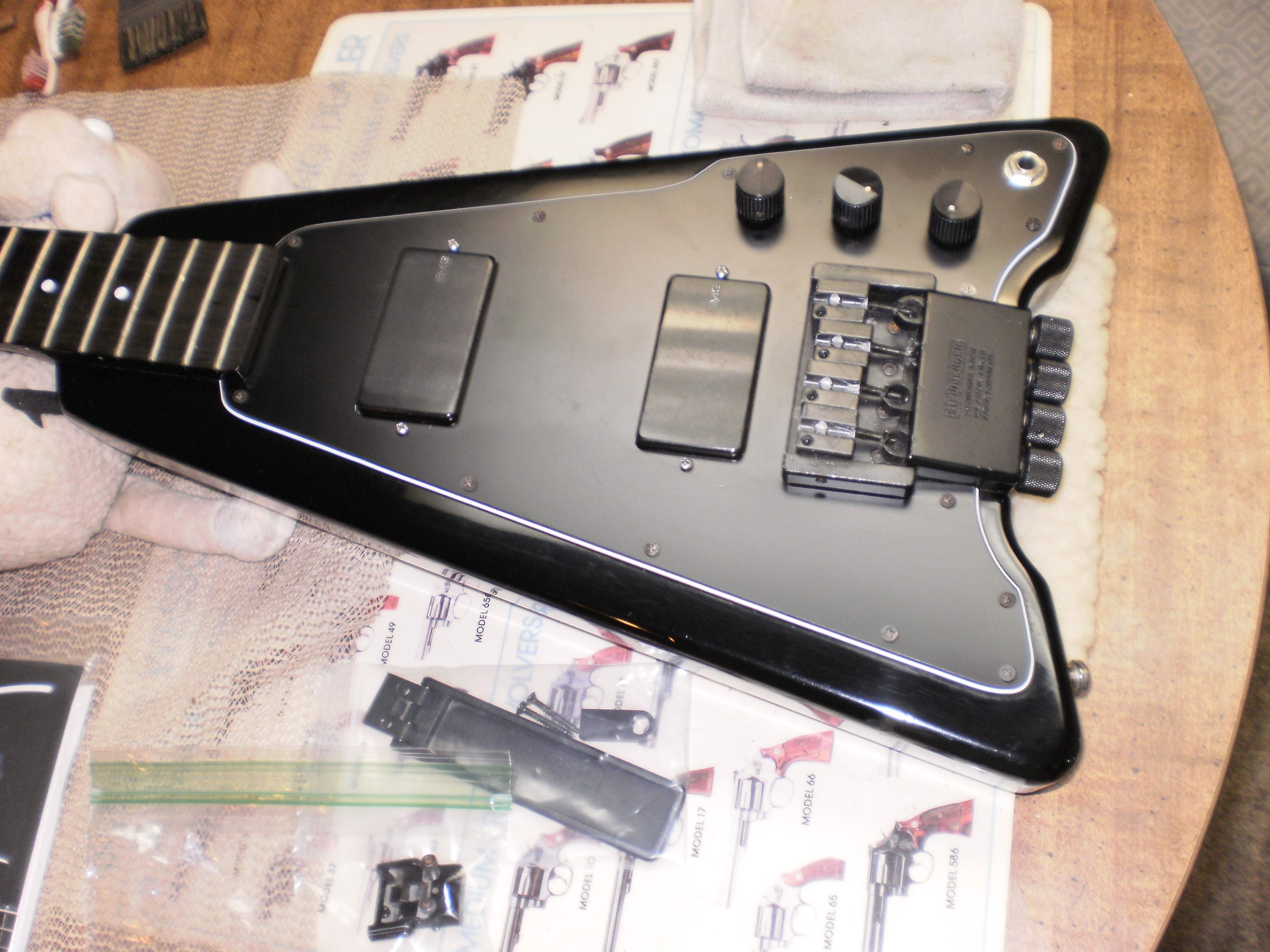 Steinberger 1.JPG