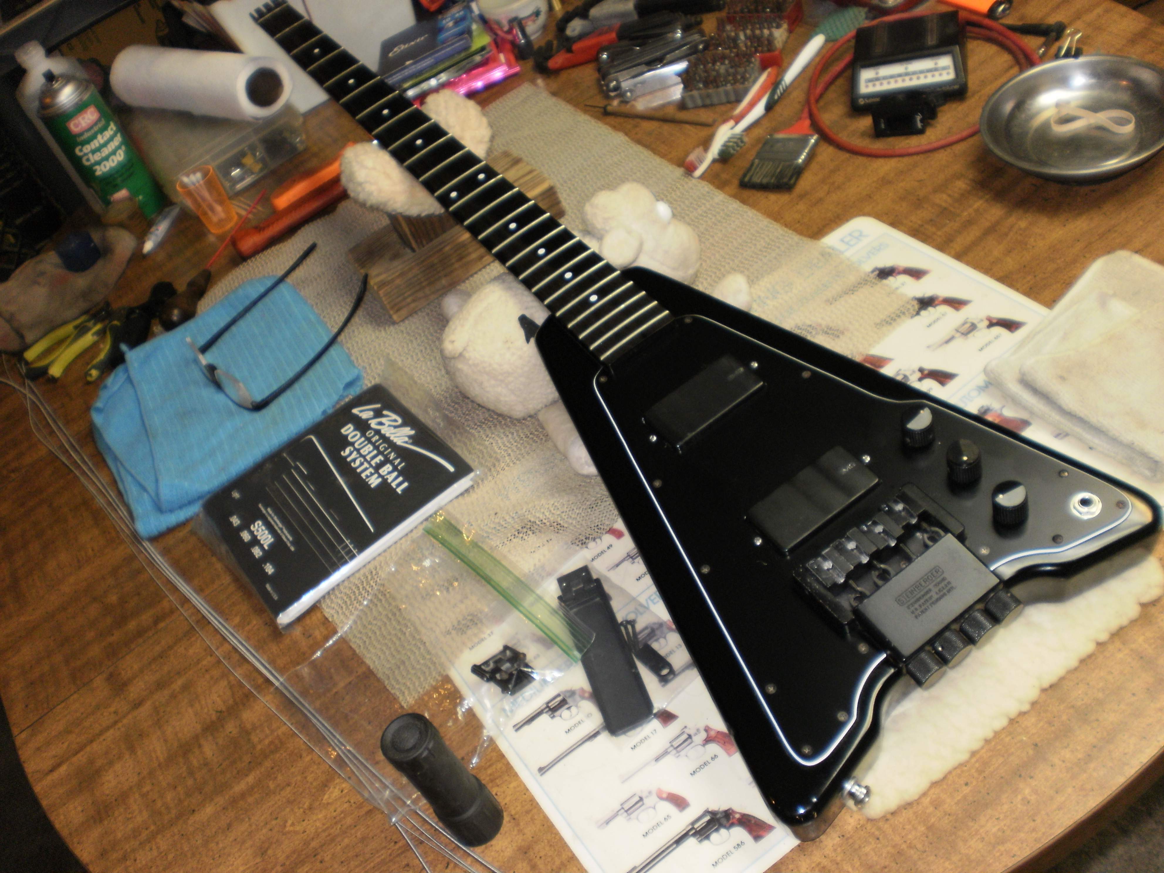 Steinberger 2.JPG
