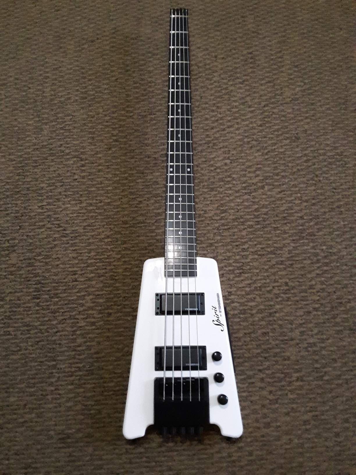 Steinberger Bass(1).jpeg