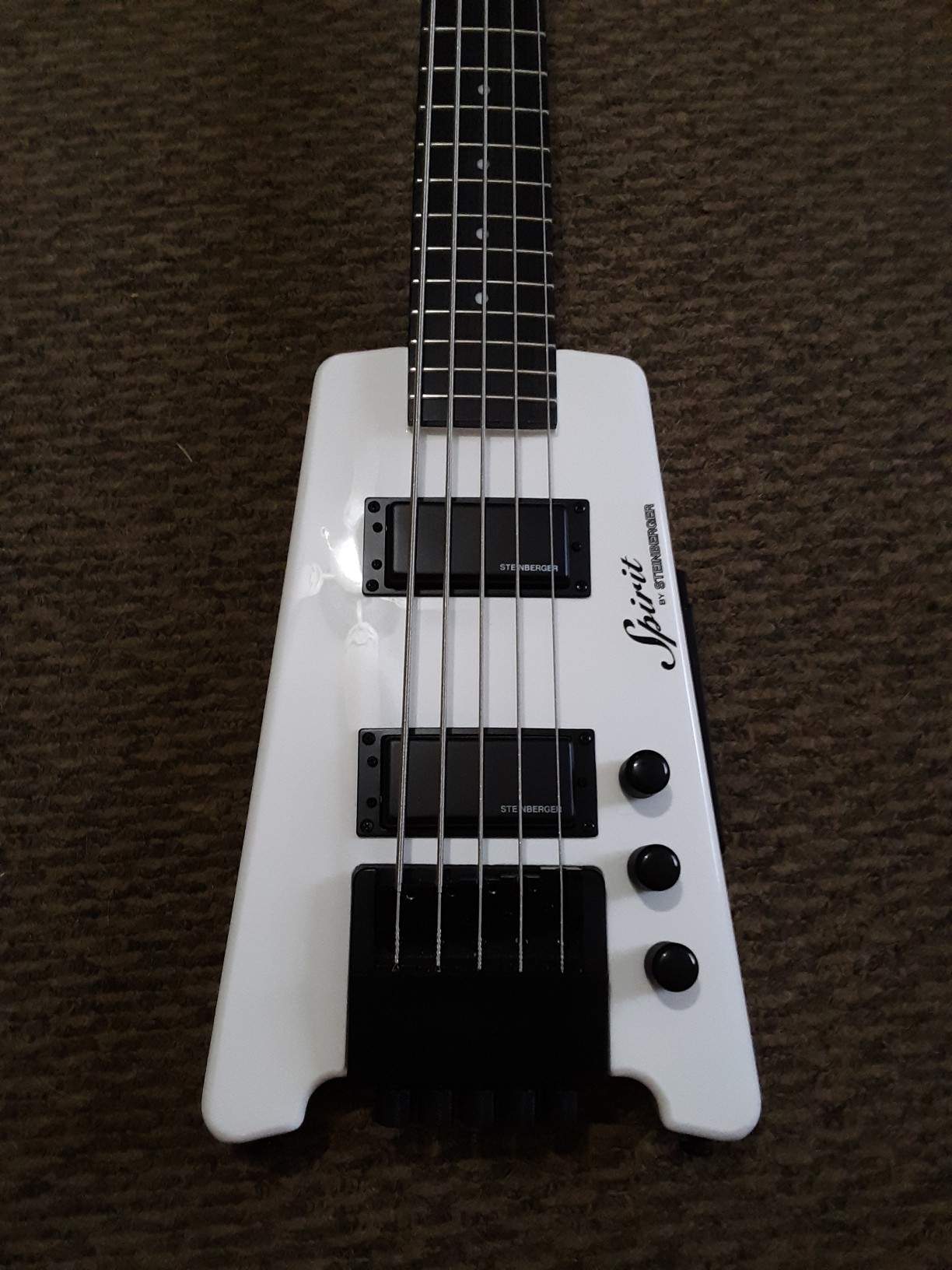 Steinberger Bass(3).jpeg