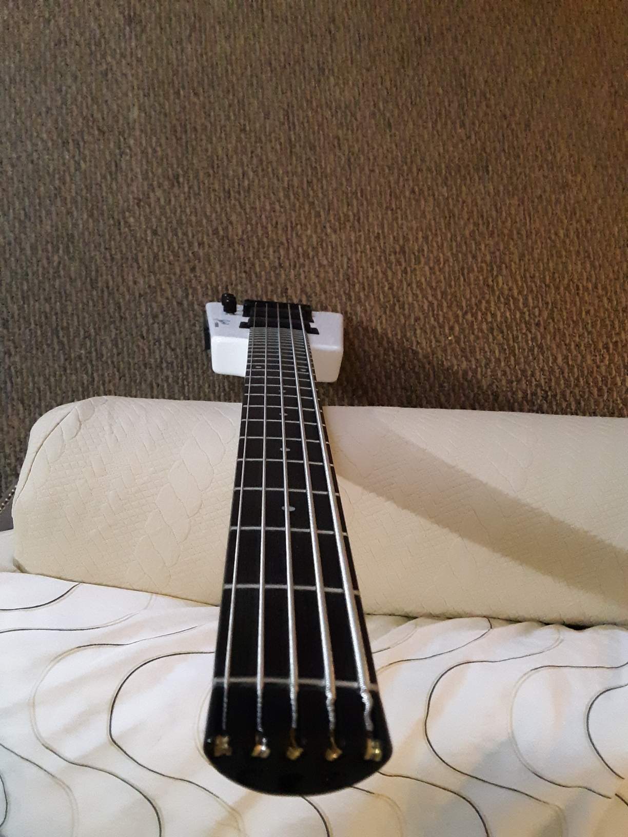 Steinberger Bass(4).jpeg