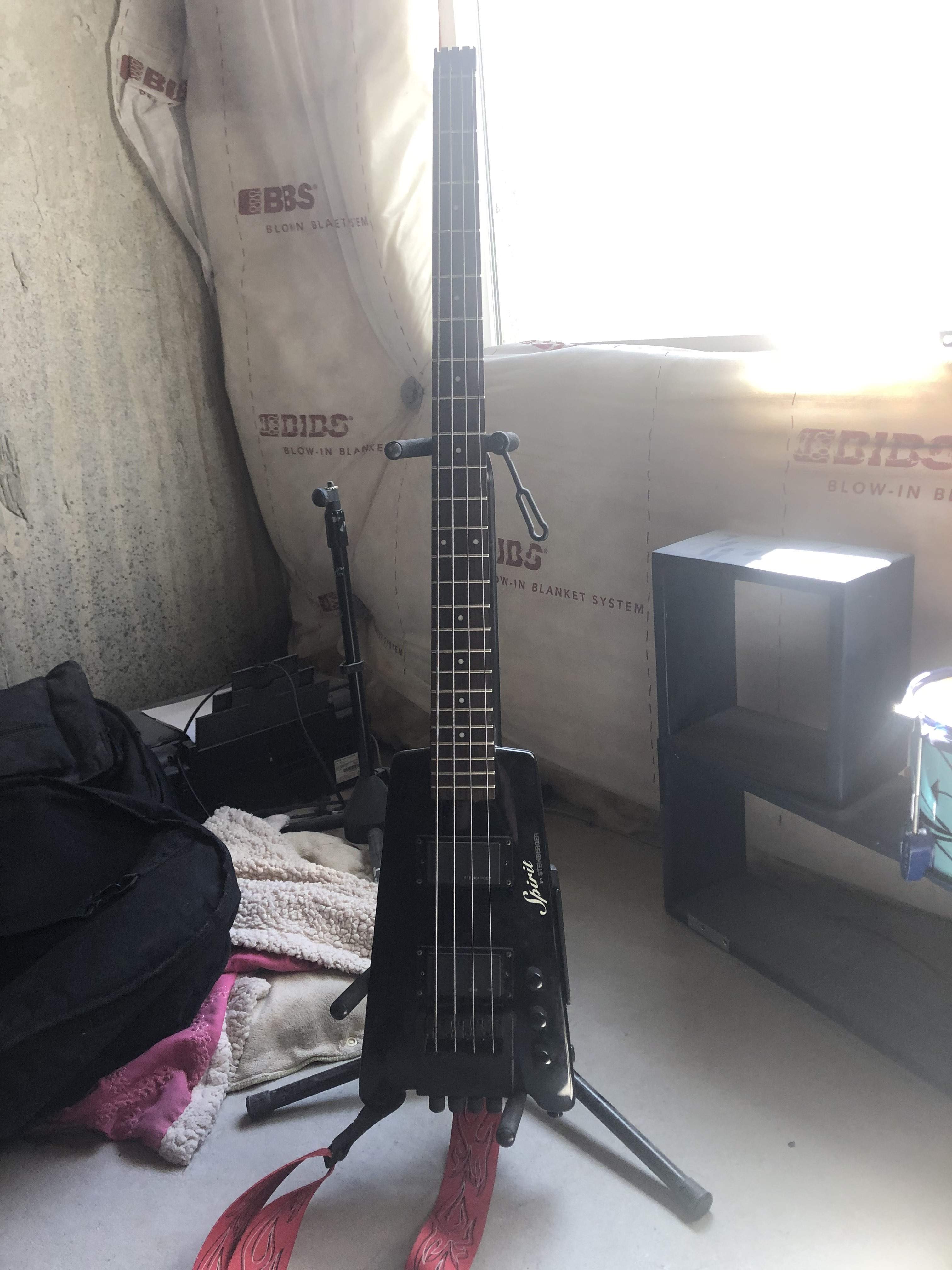 Steinberger bass.jpg