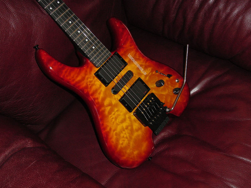 steinberger.jpg