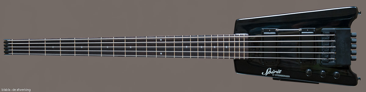 steinberger.jpg