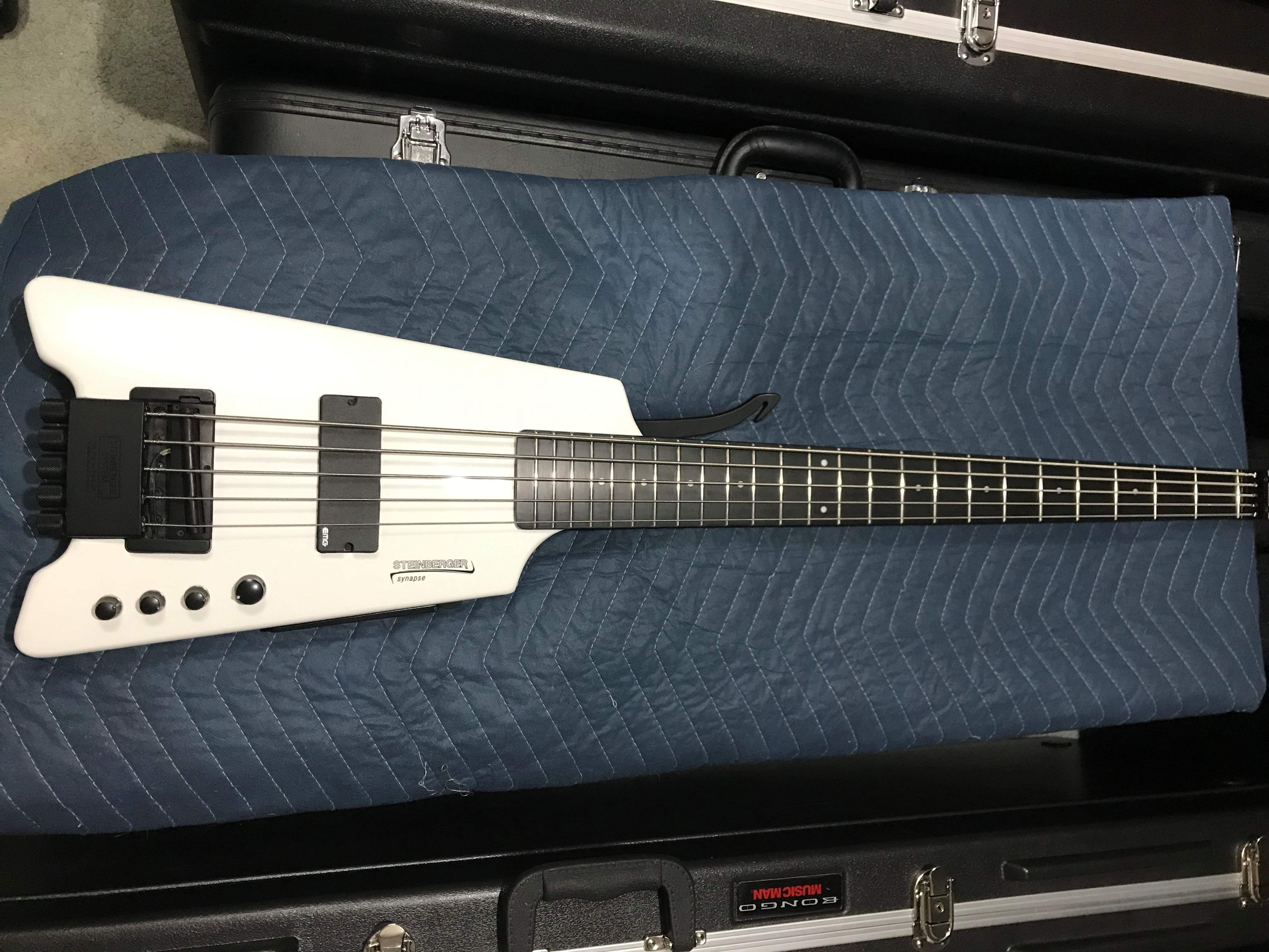 Steinberger.jpg