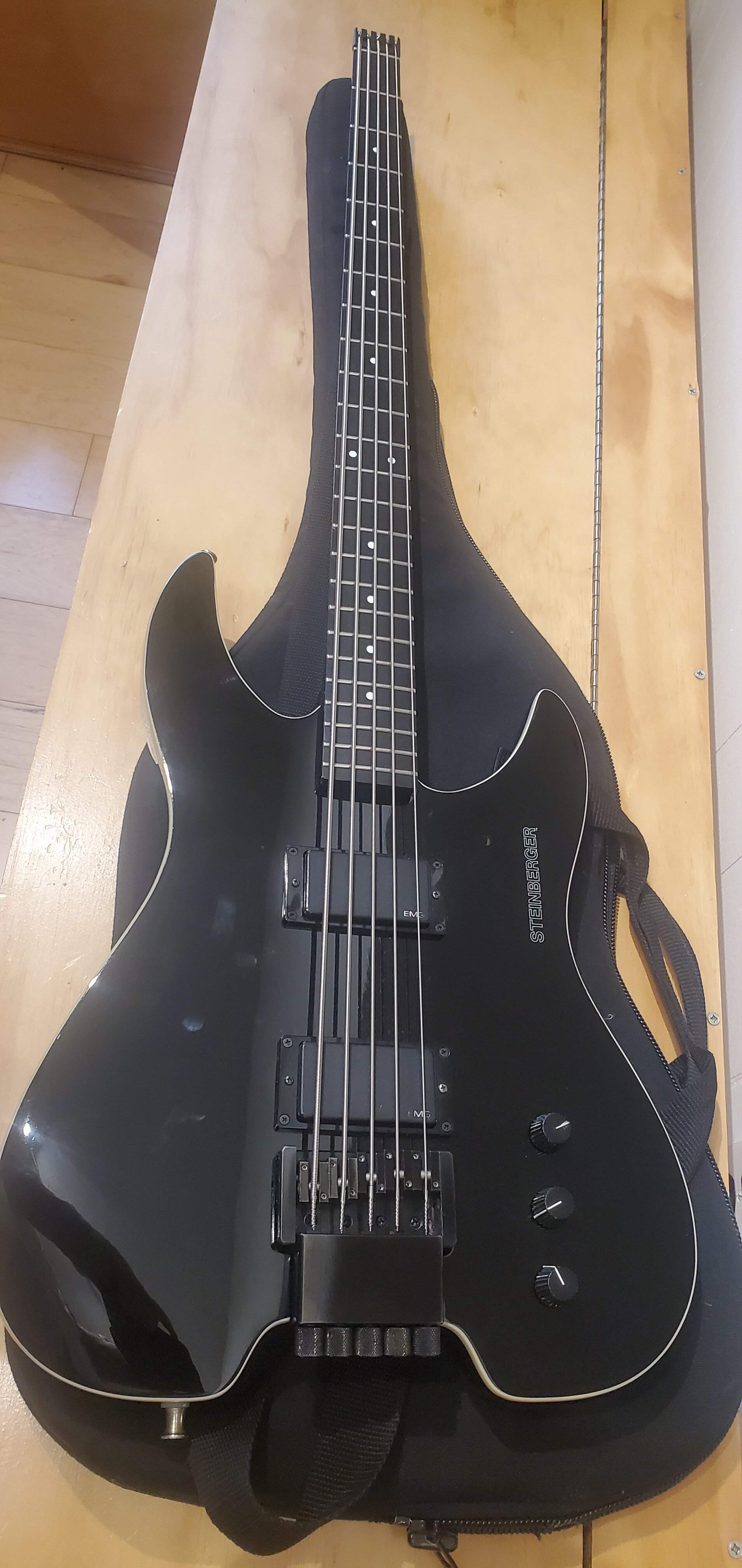 steinberger.jpg