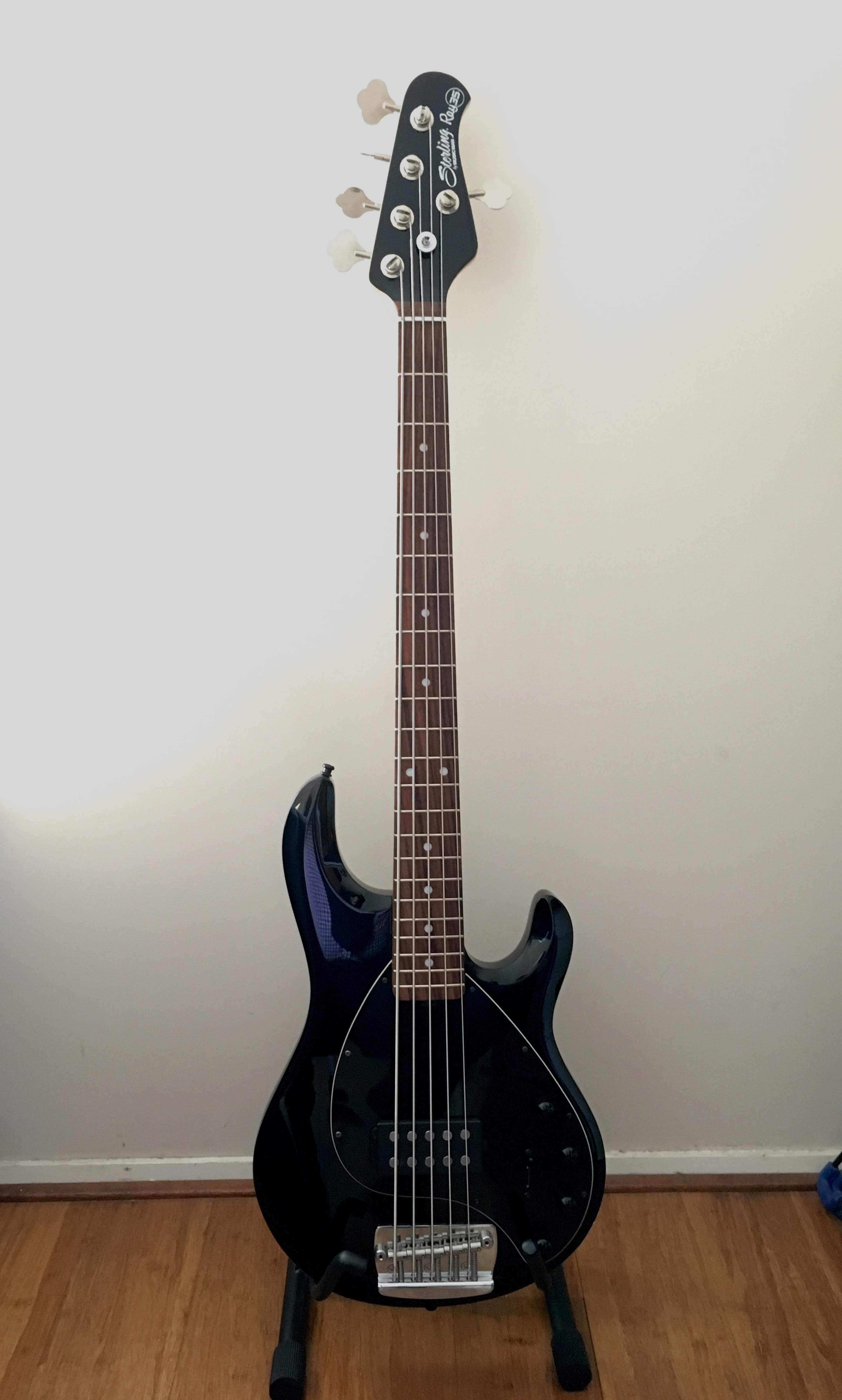 Sterling Ray 35.JPG