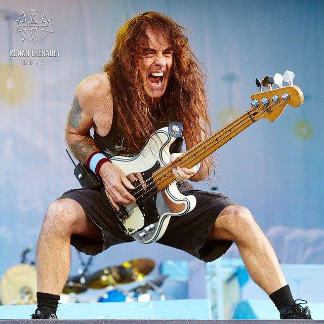 Steve Harris Shorts.jpg