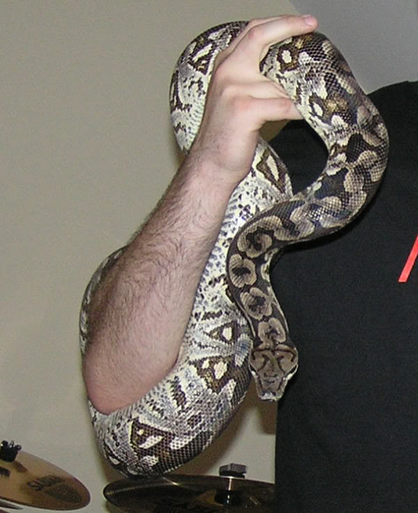 stevesnake2.jpg