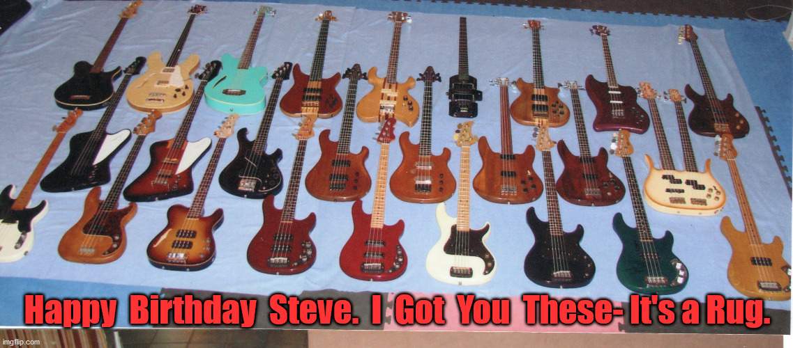 Stevie.jpg