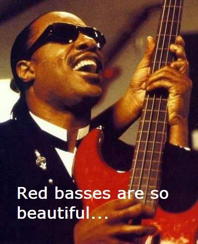 stevie3 - Copie.jpg
