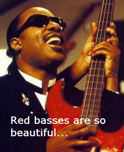 stevie3.jpg