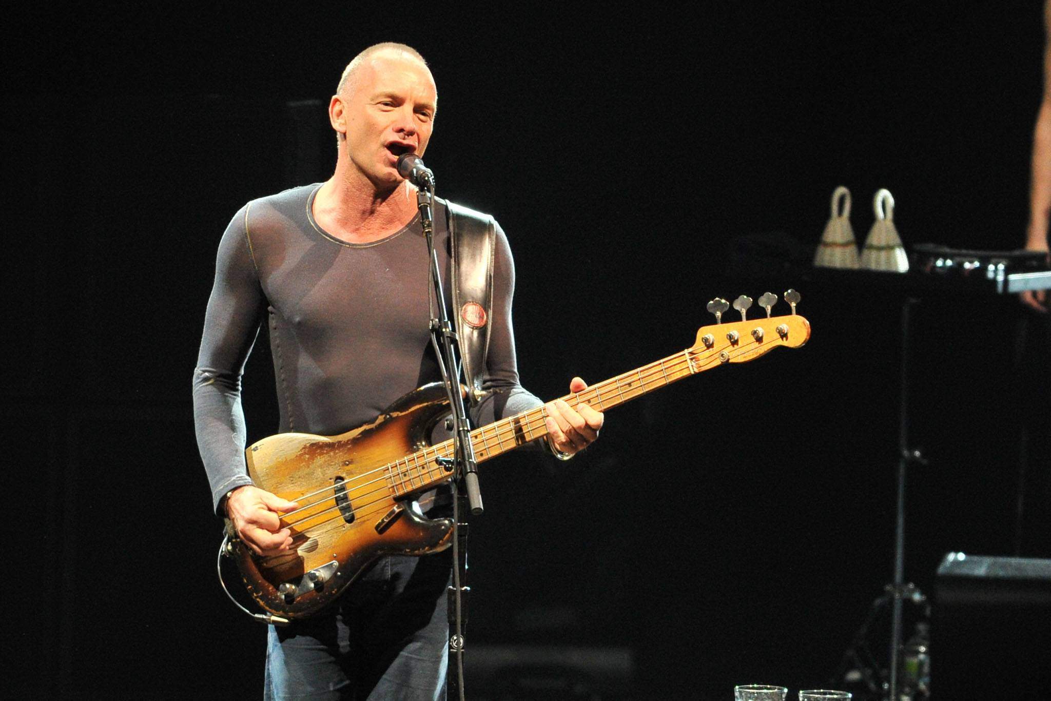 sting.jpg