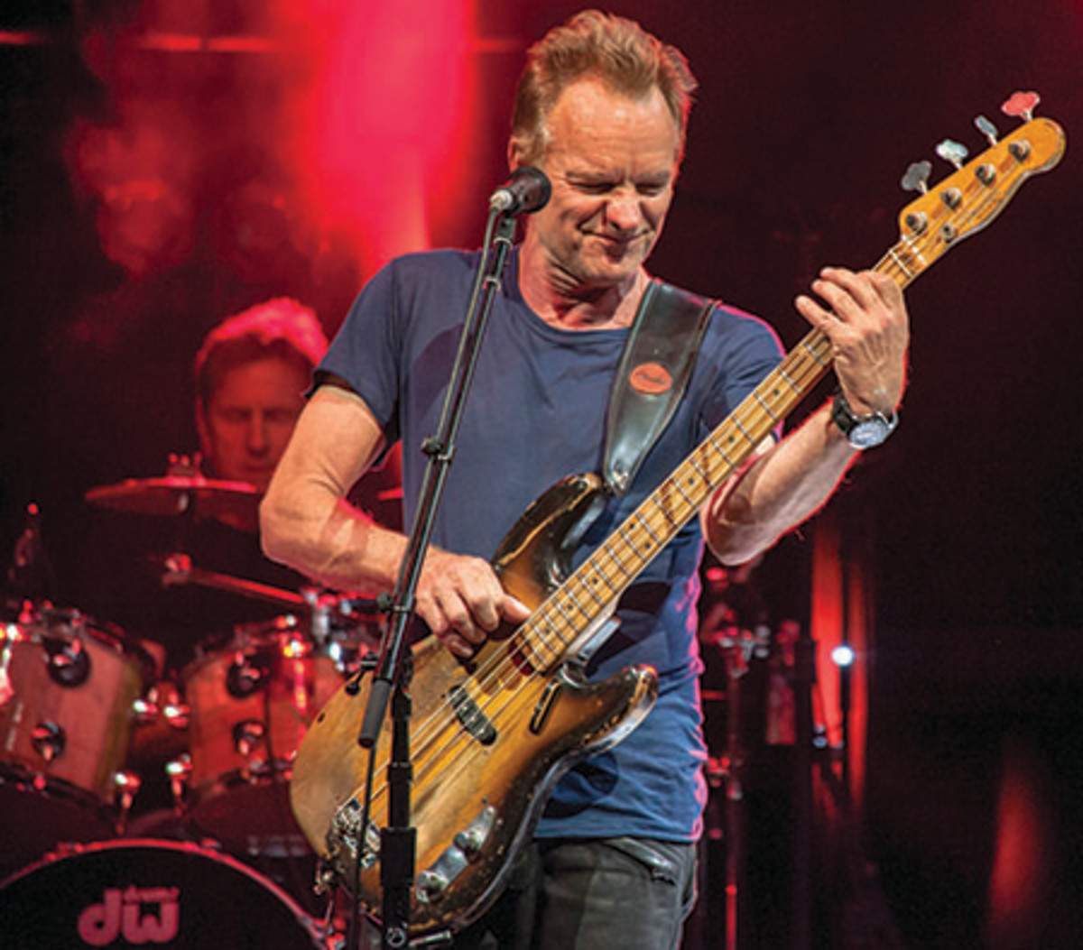 sting.jpg