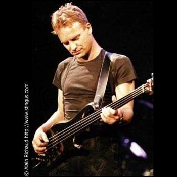 sting16.jpg