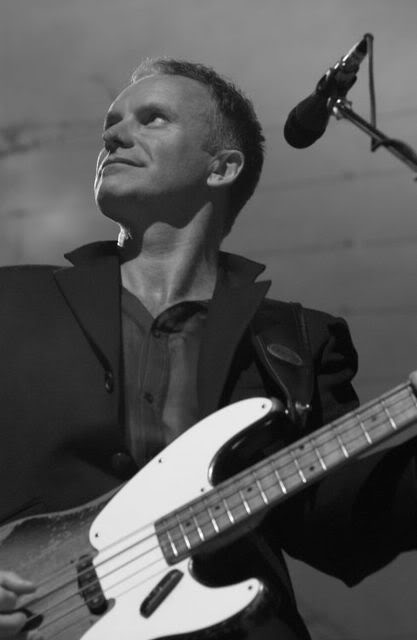 sting4.jpg