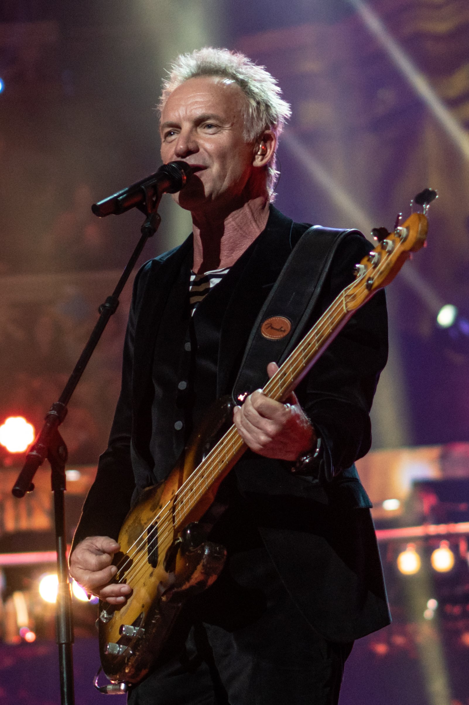 Sting_in_April_2018.jpg