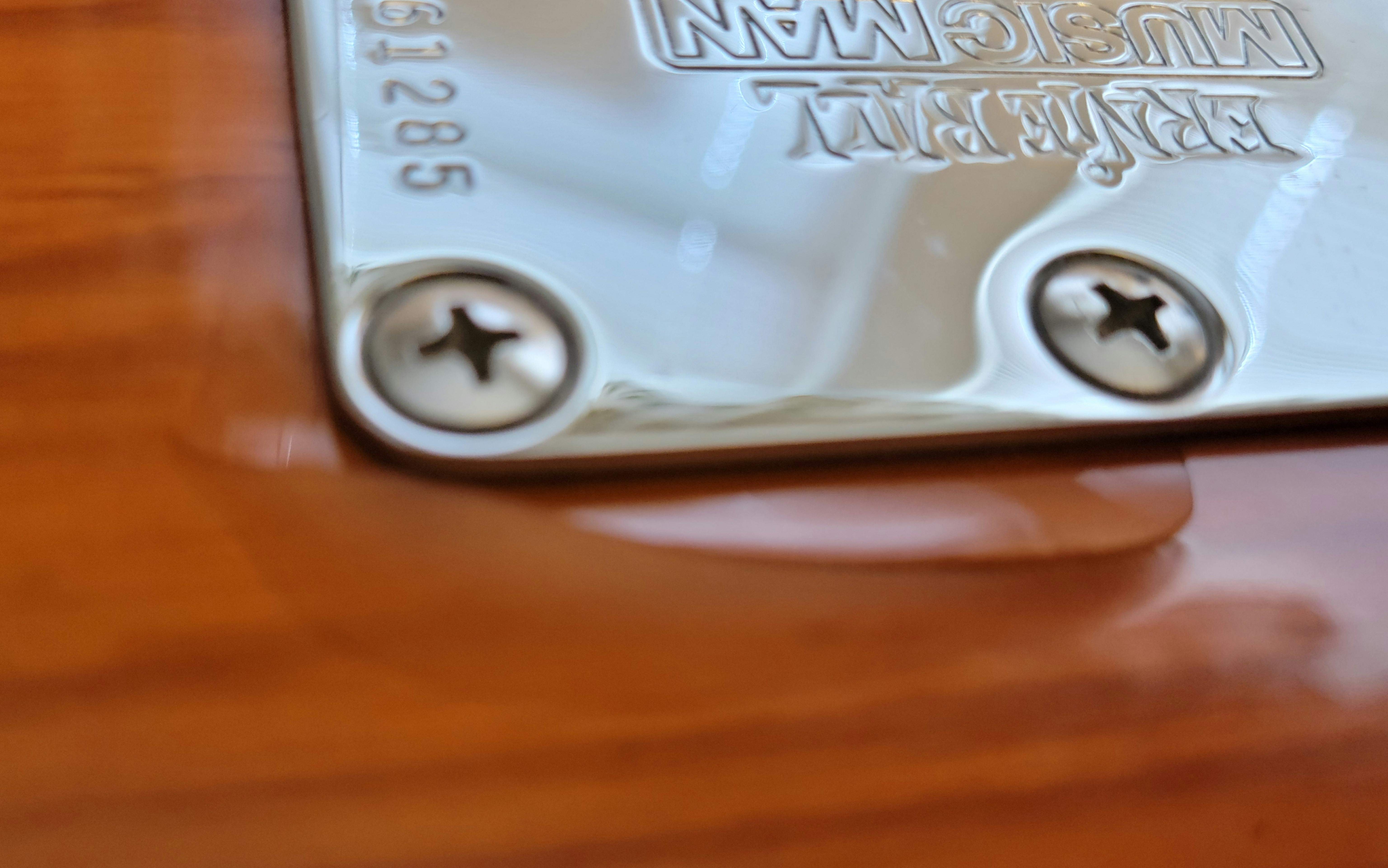 stingdef backplate.jpg