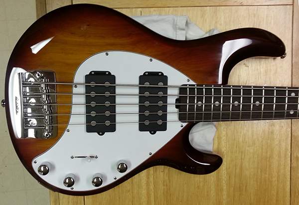 Stingray Body.jpg