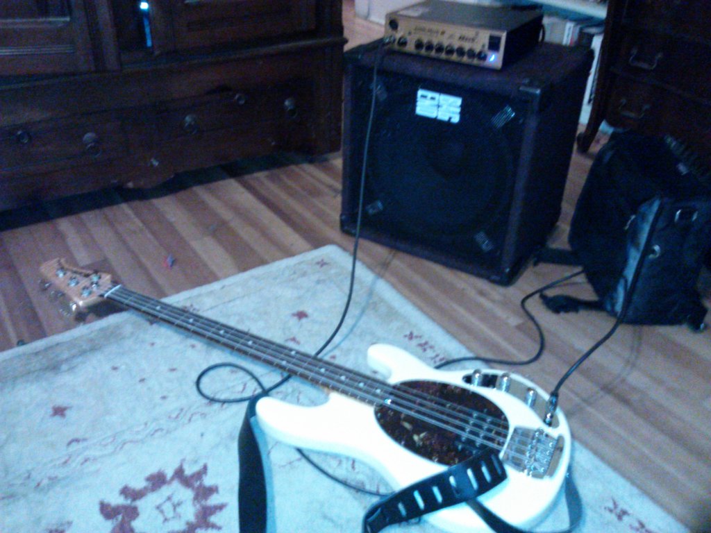 stingray.jpg