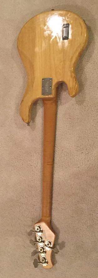 stingray.jpg