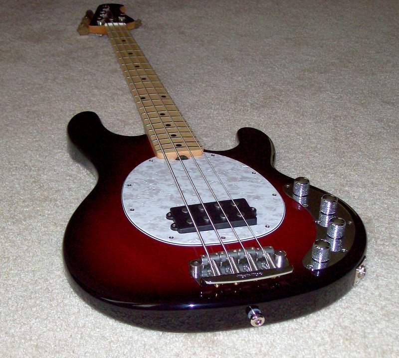 stingray.JPG