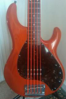 stingray1.jpg