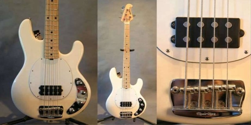 stingray2.jpg
