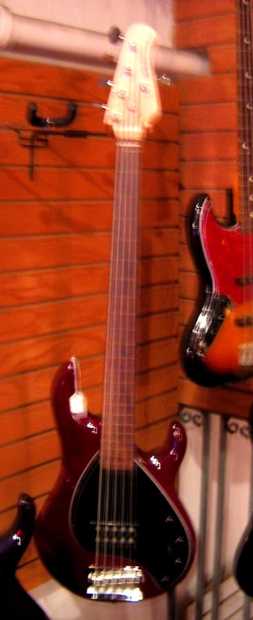 stingray2.jpg