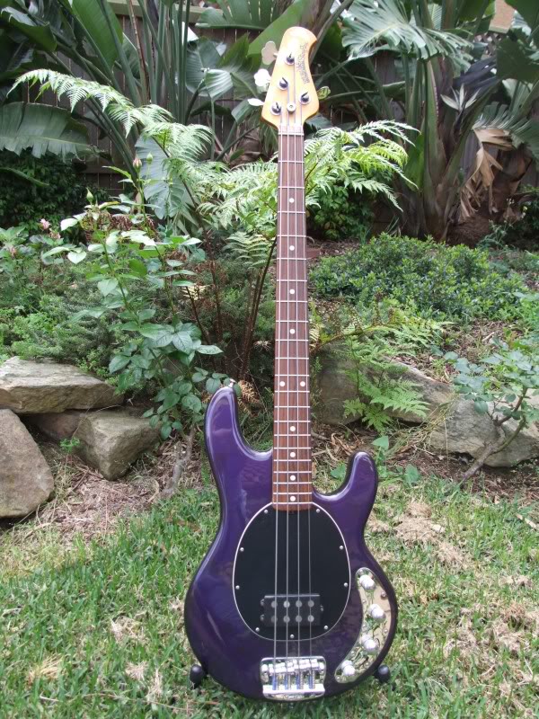 STINGRAY4purpleEBMM.jpg