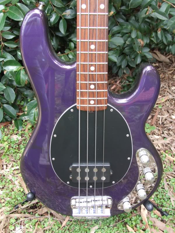 Stingray4purplefrontEBMM.jpg