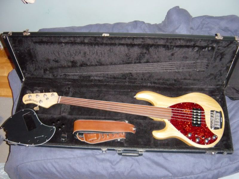 Stingray5-01.jpg