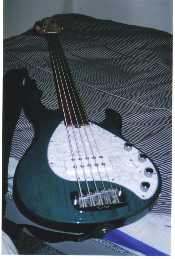 stingray5.jpg