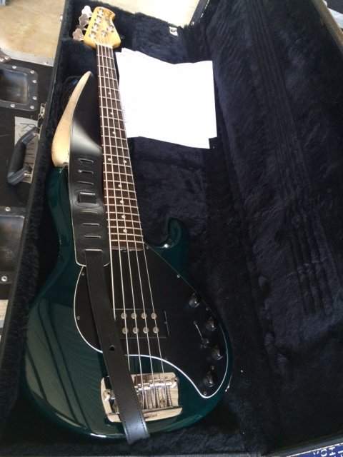 Stingray5.JPG