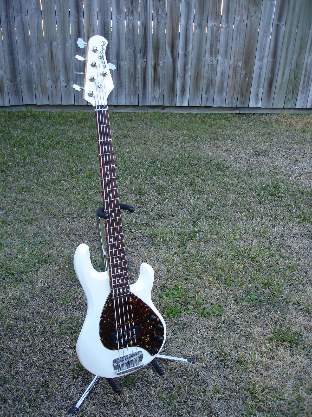 Stingray_5.jpg