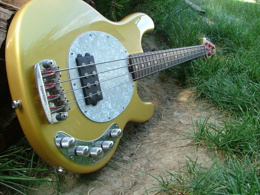 Stingray_zpsb2c1569c.jpg