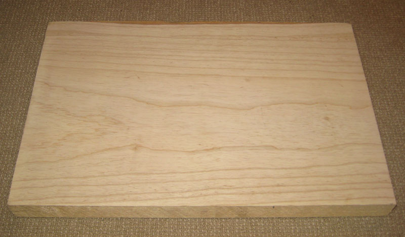 stingraybody-00.jpg